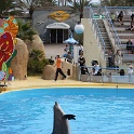 Marineland - Dauphins - 080